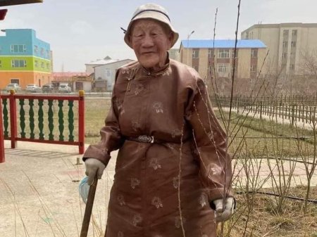 Баянхонгор аймгийн иргэн 97 настай Ч.Сумъяа 108 мод тарьжээ