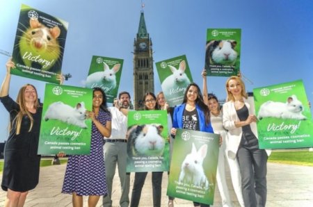 Канад улс гоо сайхны бүтээгдэхүүнийг амьтанд туршихыг албан ёсоор хоригложээ