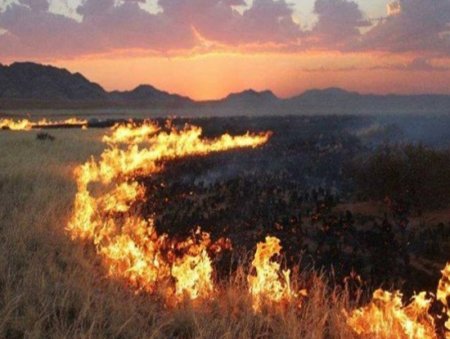 Он гарсаар ой хээрийн 93 удаагийн түймэрт 583 га талбай өртжээ